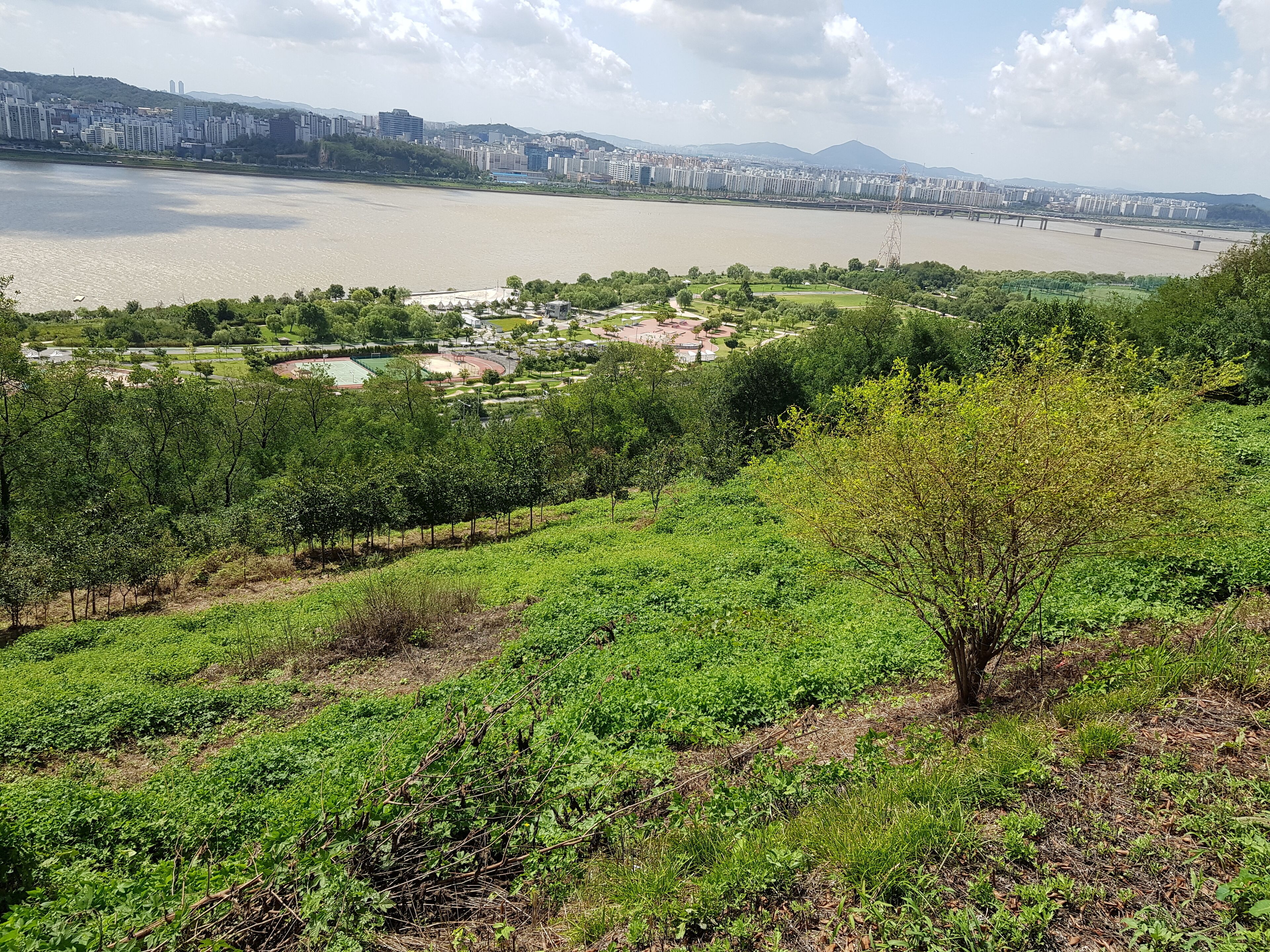 Haneul Park, Mapo District, Seoul, Korea