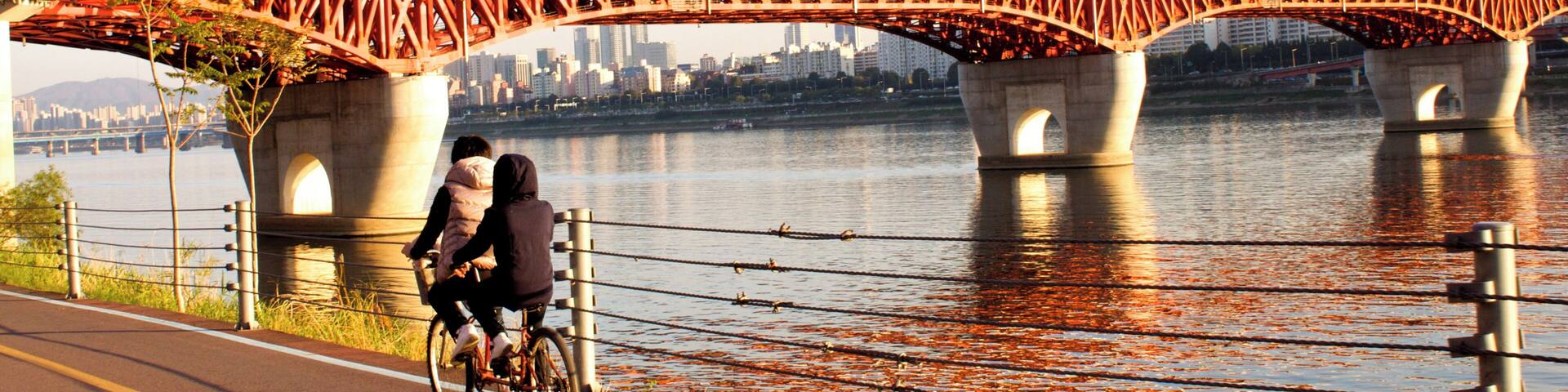 I have a sort of love affair with bridges and transportation and bodies of water, and this nicely encompasses all three.