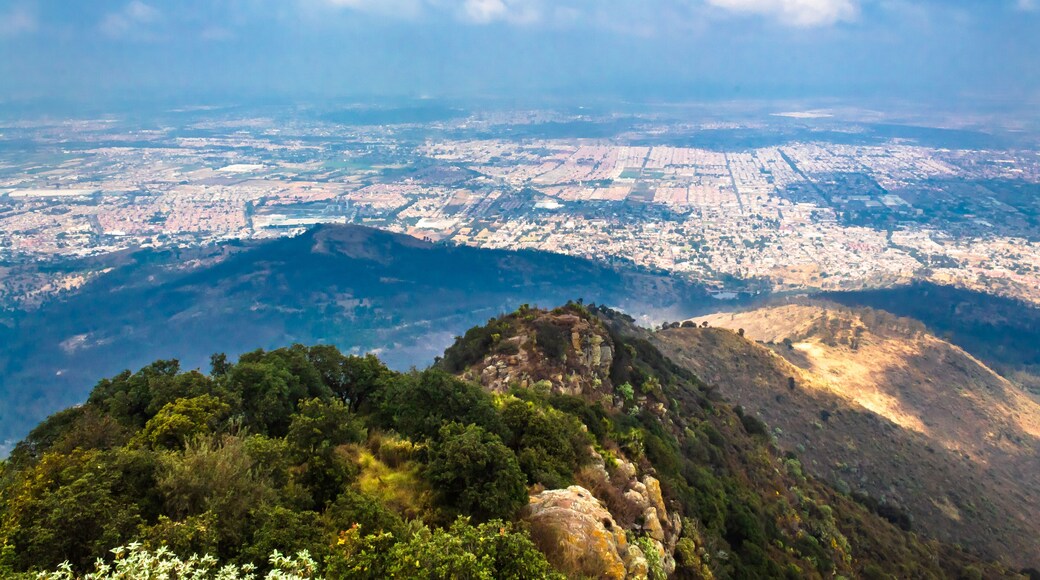 埃卡提佩德莫雷洛斯