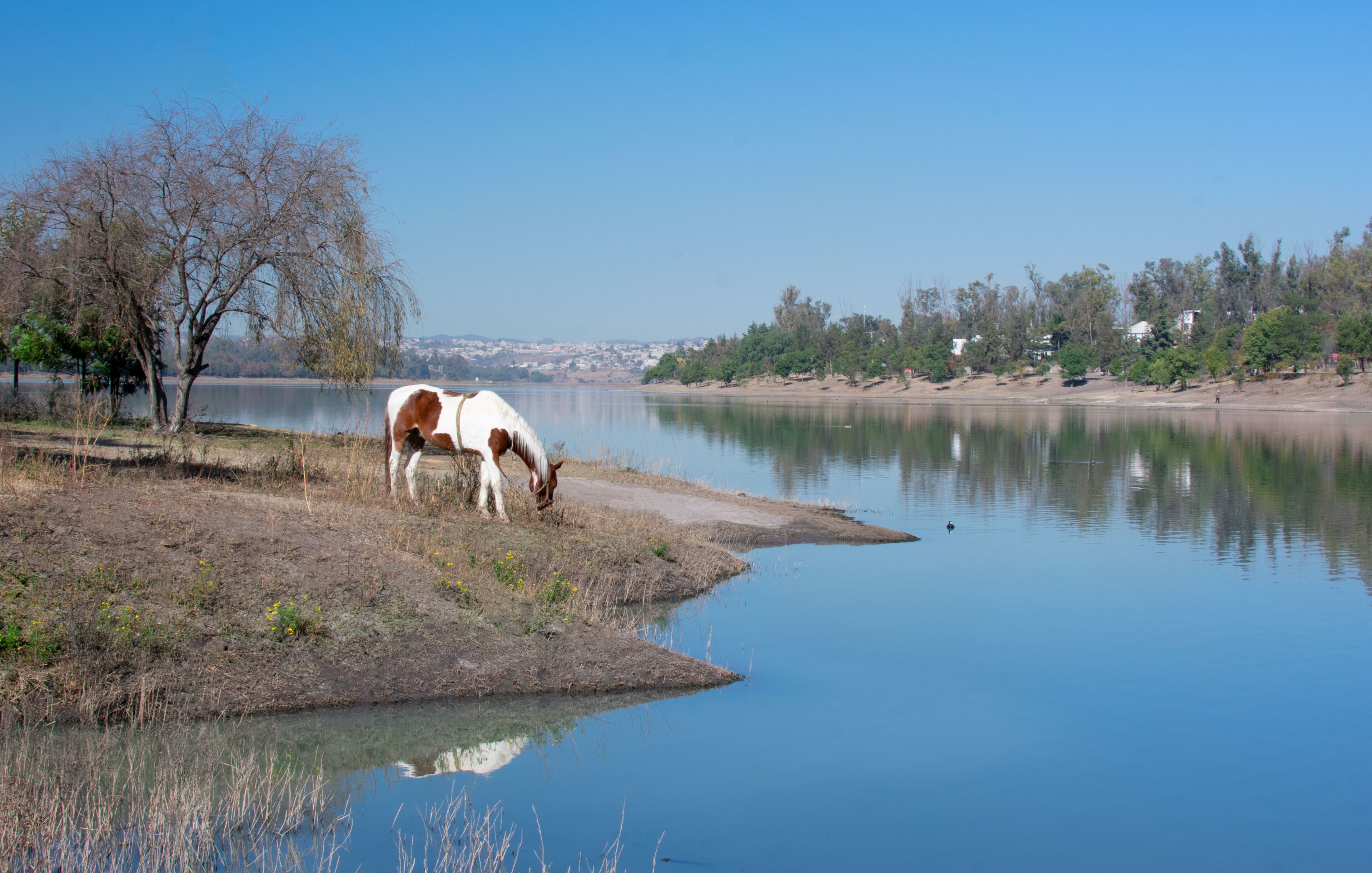 <h2>库奥蒂特兰伊斯卡利的机场附近的热门住宿</h2>