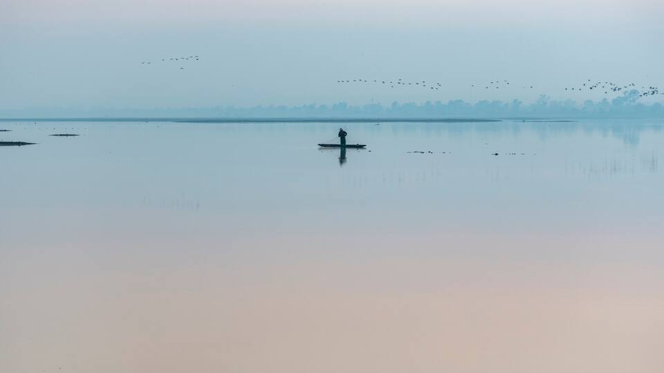 A calm lake with a person paddling a kayak, surrounded by a misty forest and a flock of birds in the distance.