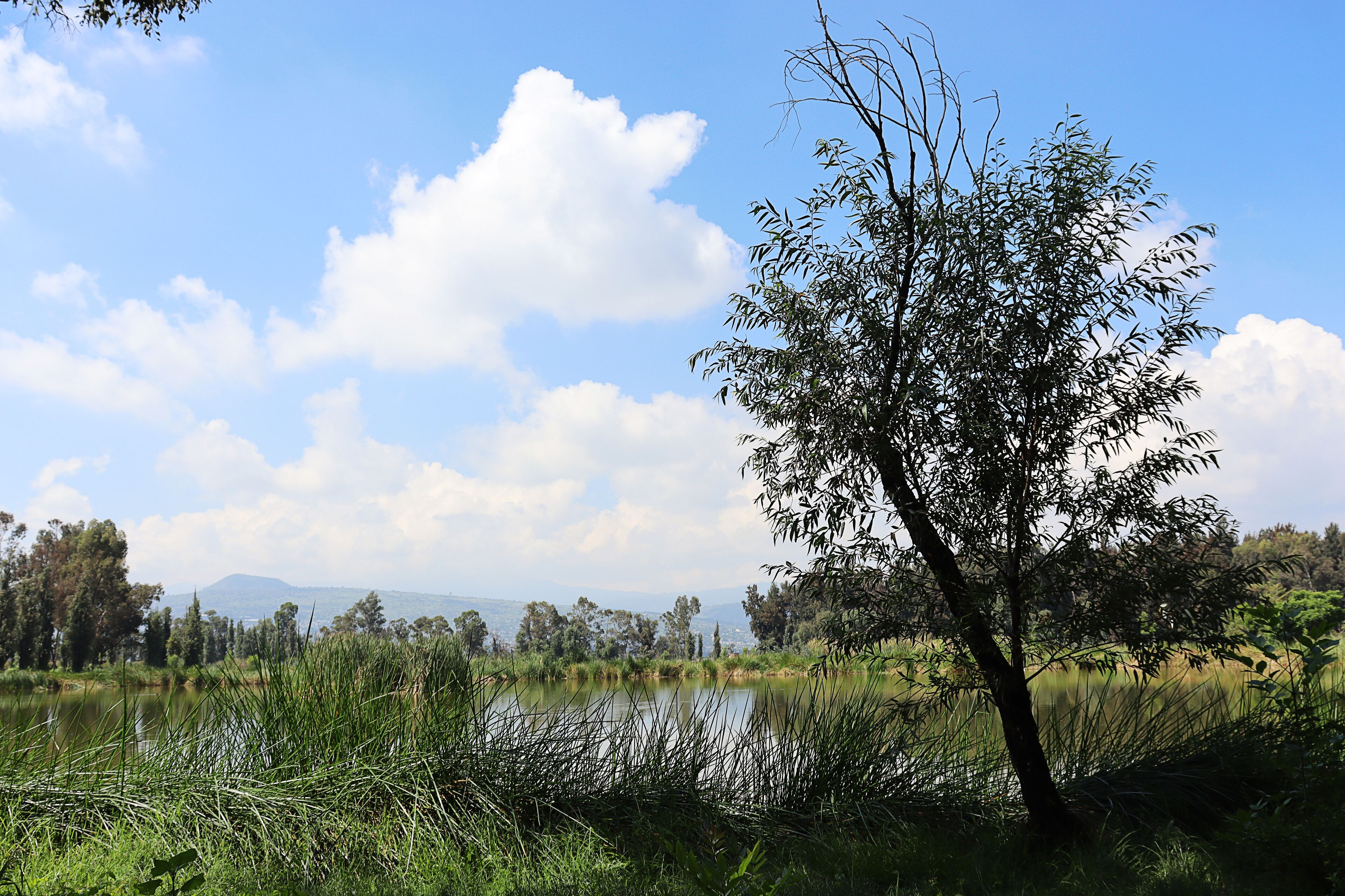 Chalco de Diaz Covarrubias