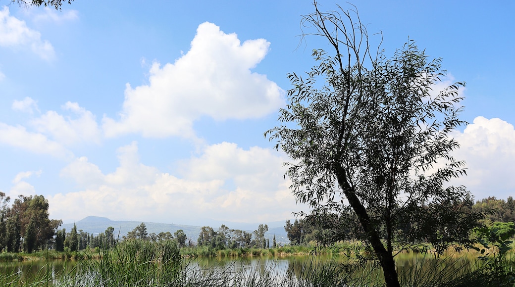 Chalco de Diaz Covarrubias