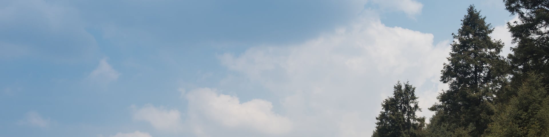 La Marquesa National Park, with the official name "Parque Nacional Insurgente Miguel Hidalgo y Costilla" is a National park in the State of Mexico, in central Mexico.