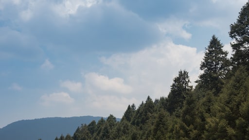 La Marquesa National Park, with the official name "Parque Nacional Insurgente Miguel Hidalgo y Costilla" is a National park in the State of Mexico, in central Mexico.