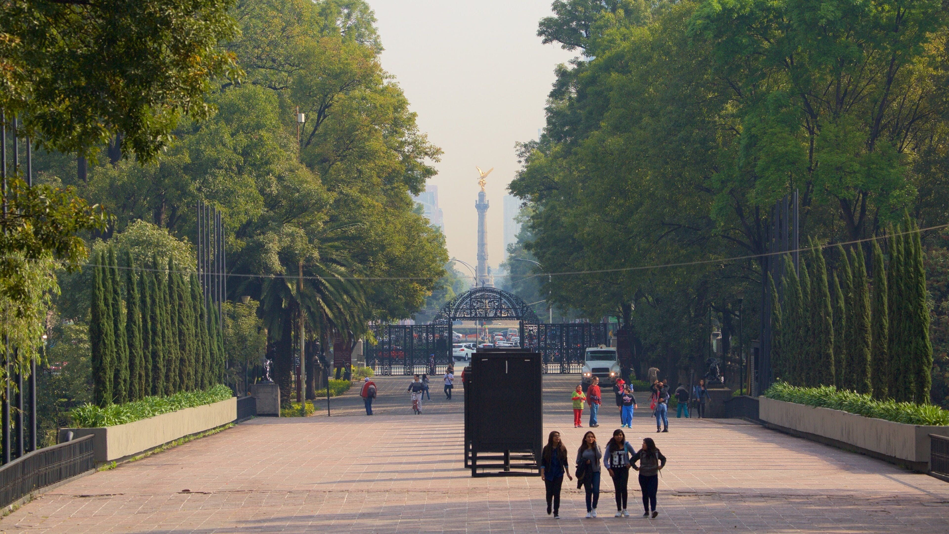 Reforma 購物中心 其中包括 公園, 廣場 和 街道景色