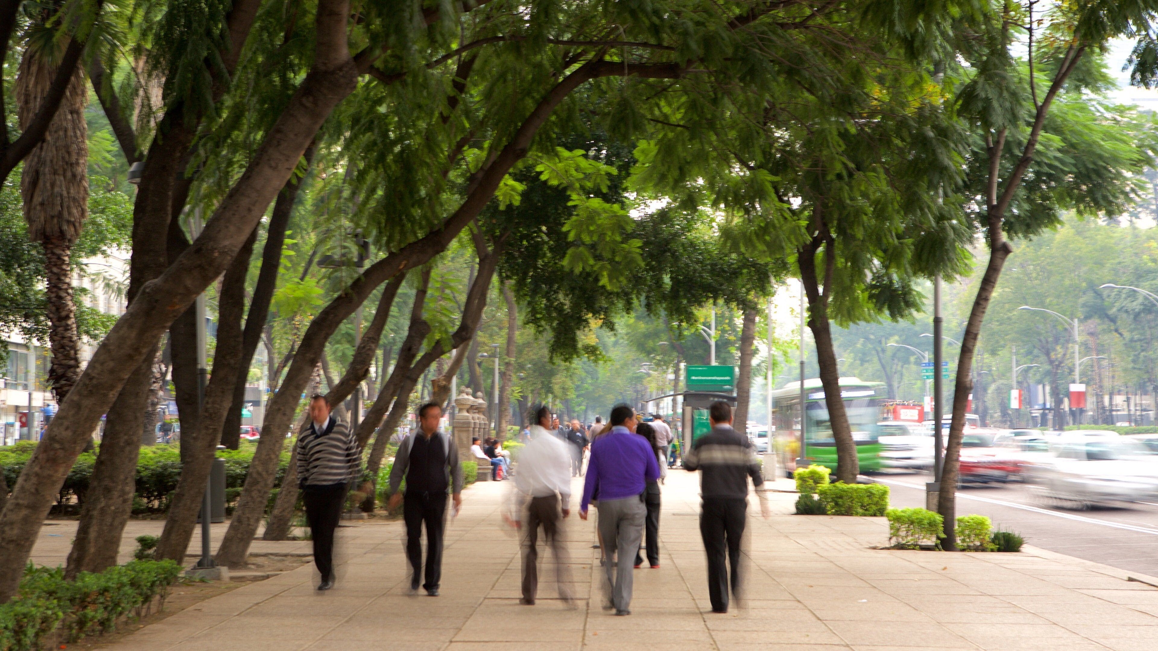 Reforma showing a garden and street scenes as well as a small group of people