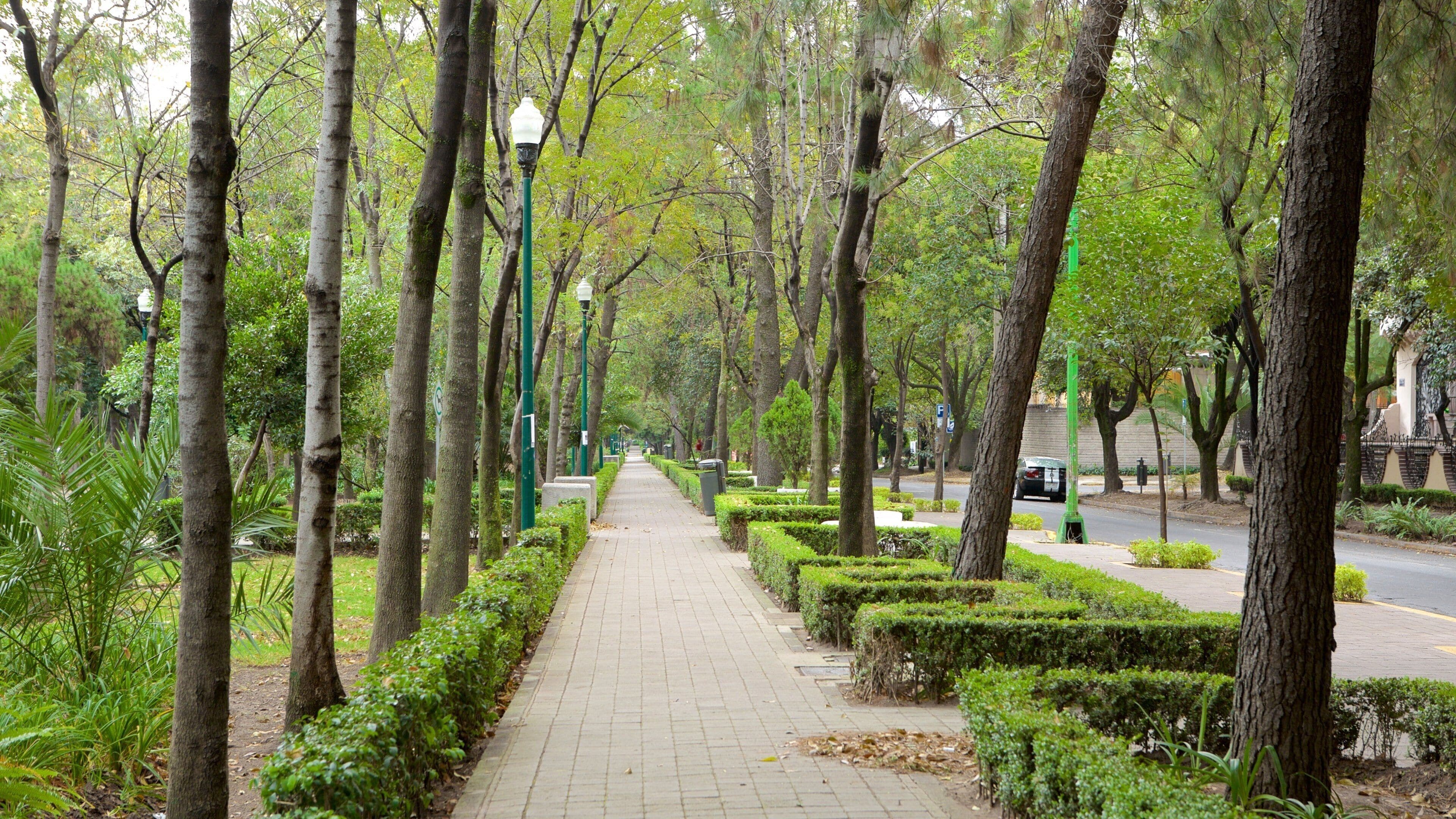 Polanco og byder på en have