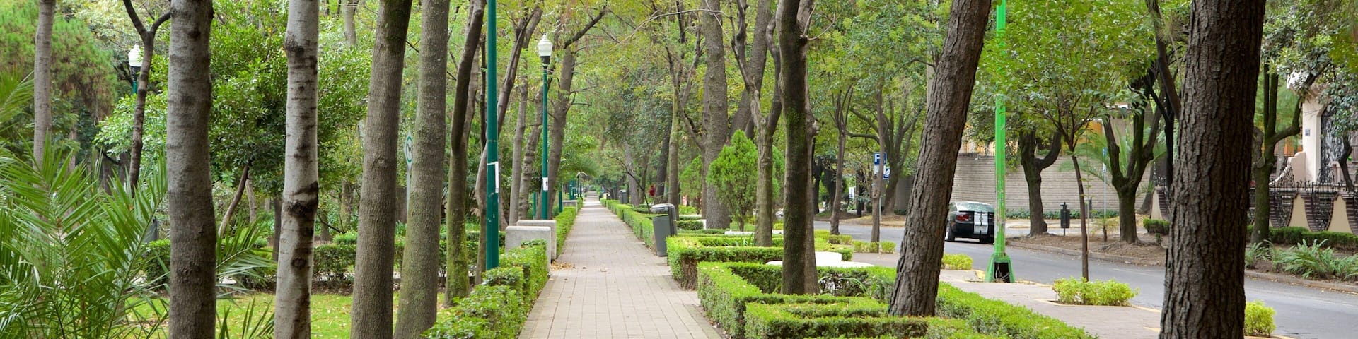 Polanco which includes a park