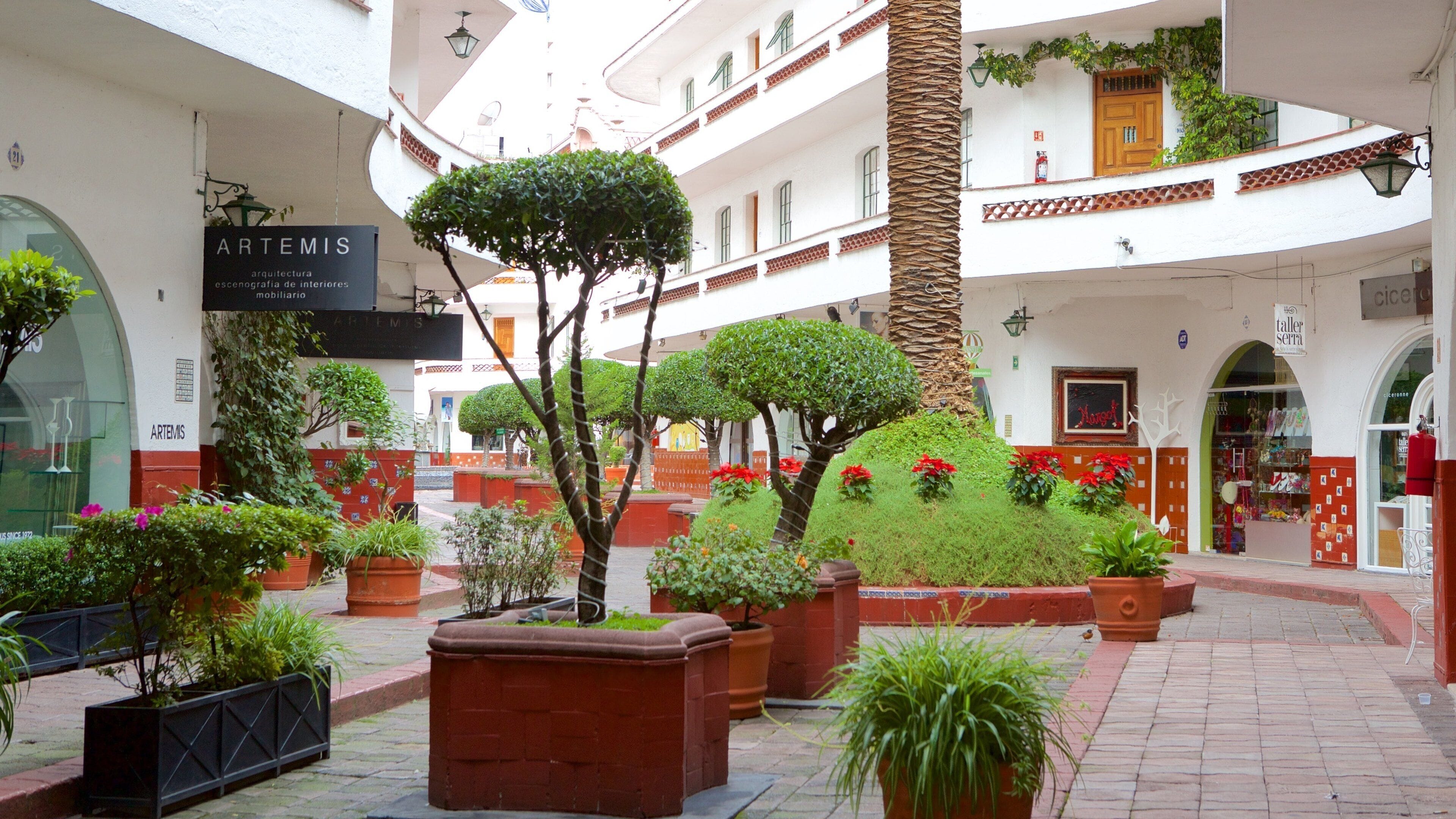 Polanco showing street scenes