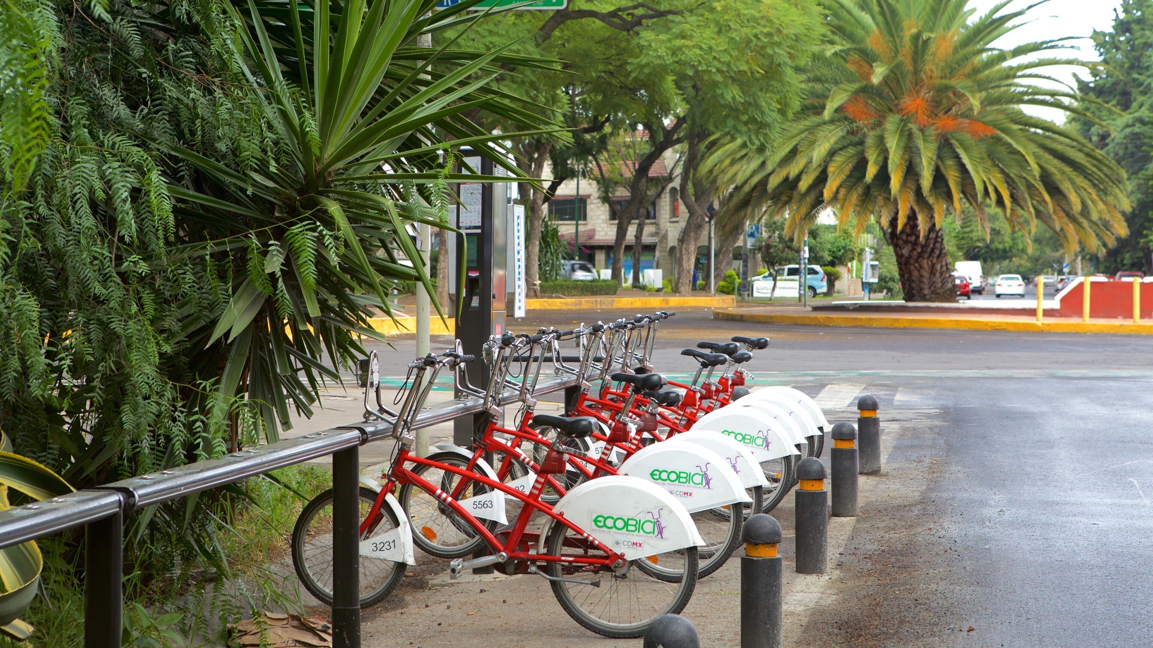 Polanco som viser cykling og en by