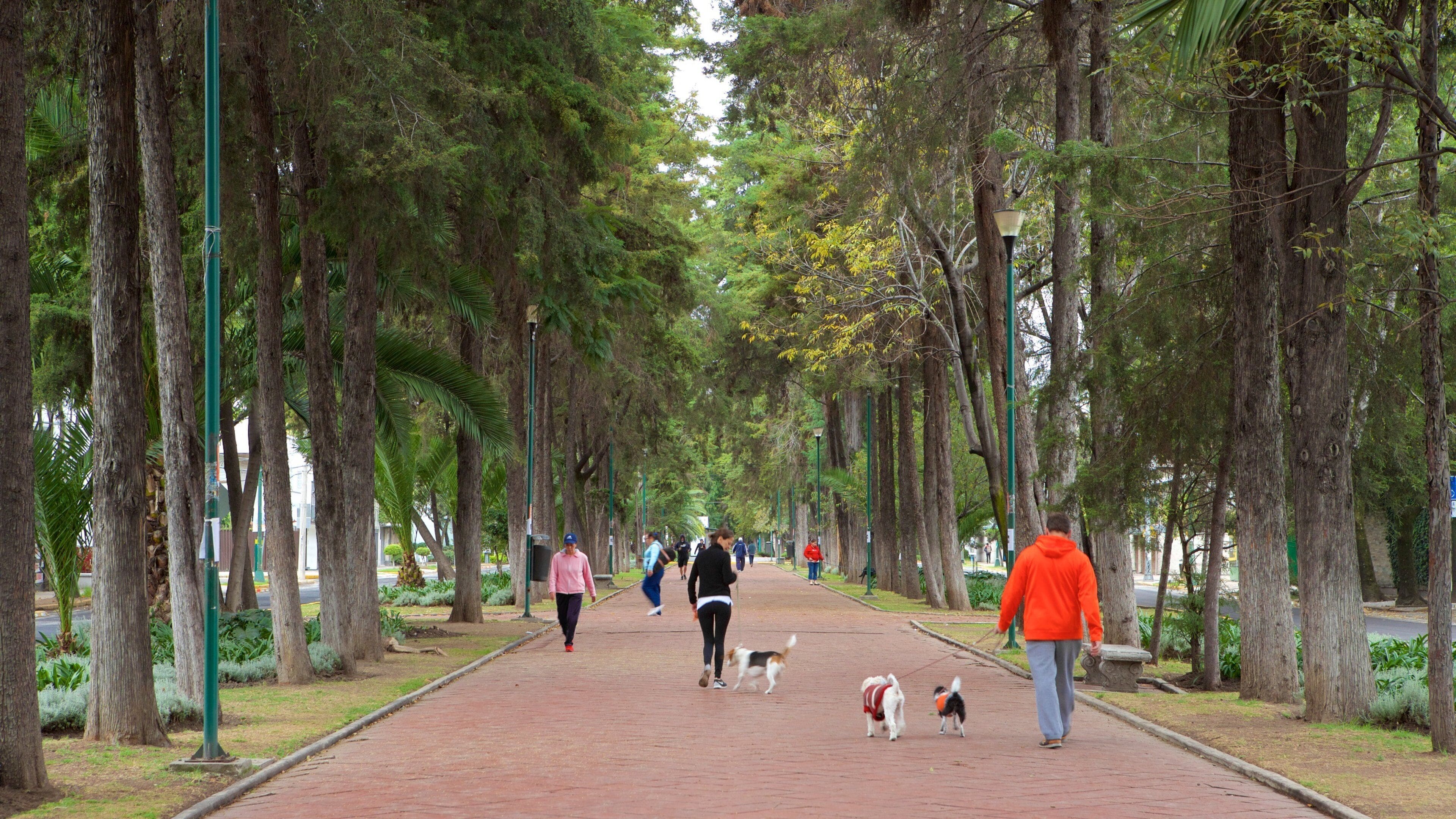 前往波兰科：波兰科墨西哥城之旅精选2026 | Expedia 旅行