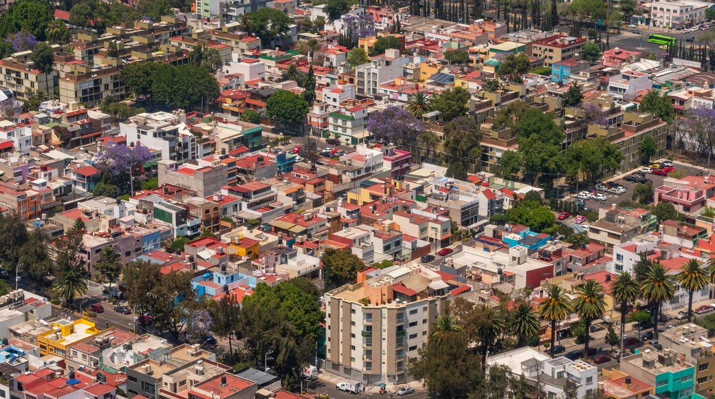 Aerial photograph of the Venustiano Carranza Neighborhood of Mexico City, CDMX