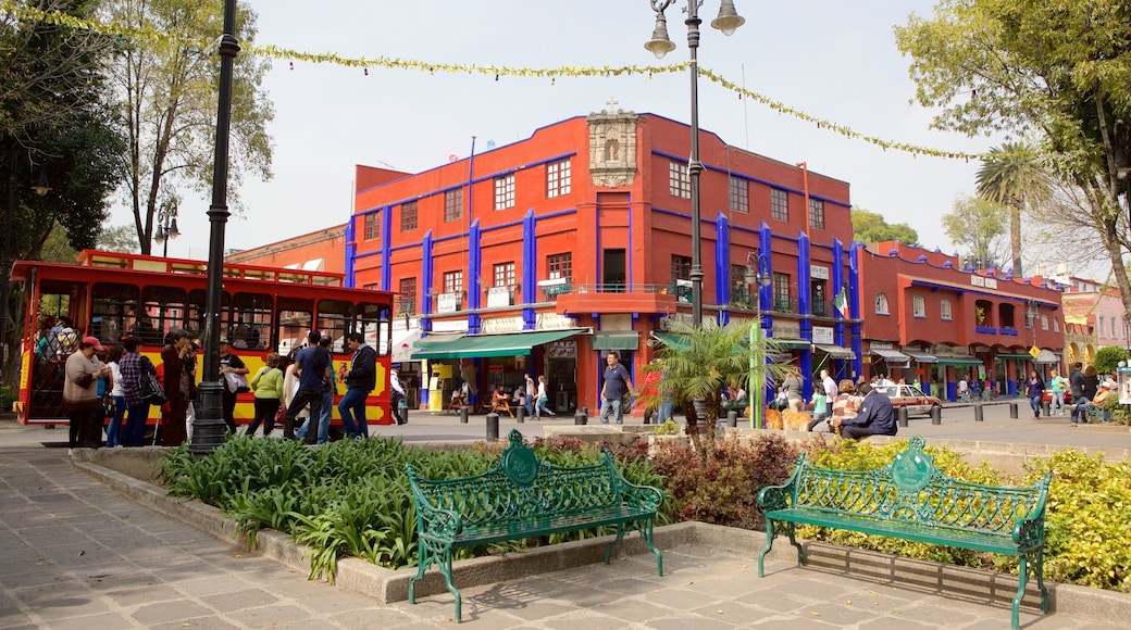 Coyoacan featuring a park, a square or plaza and a city