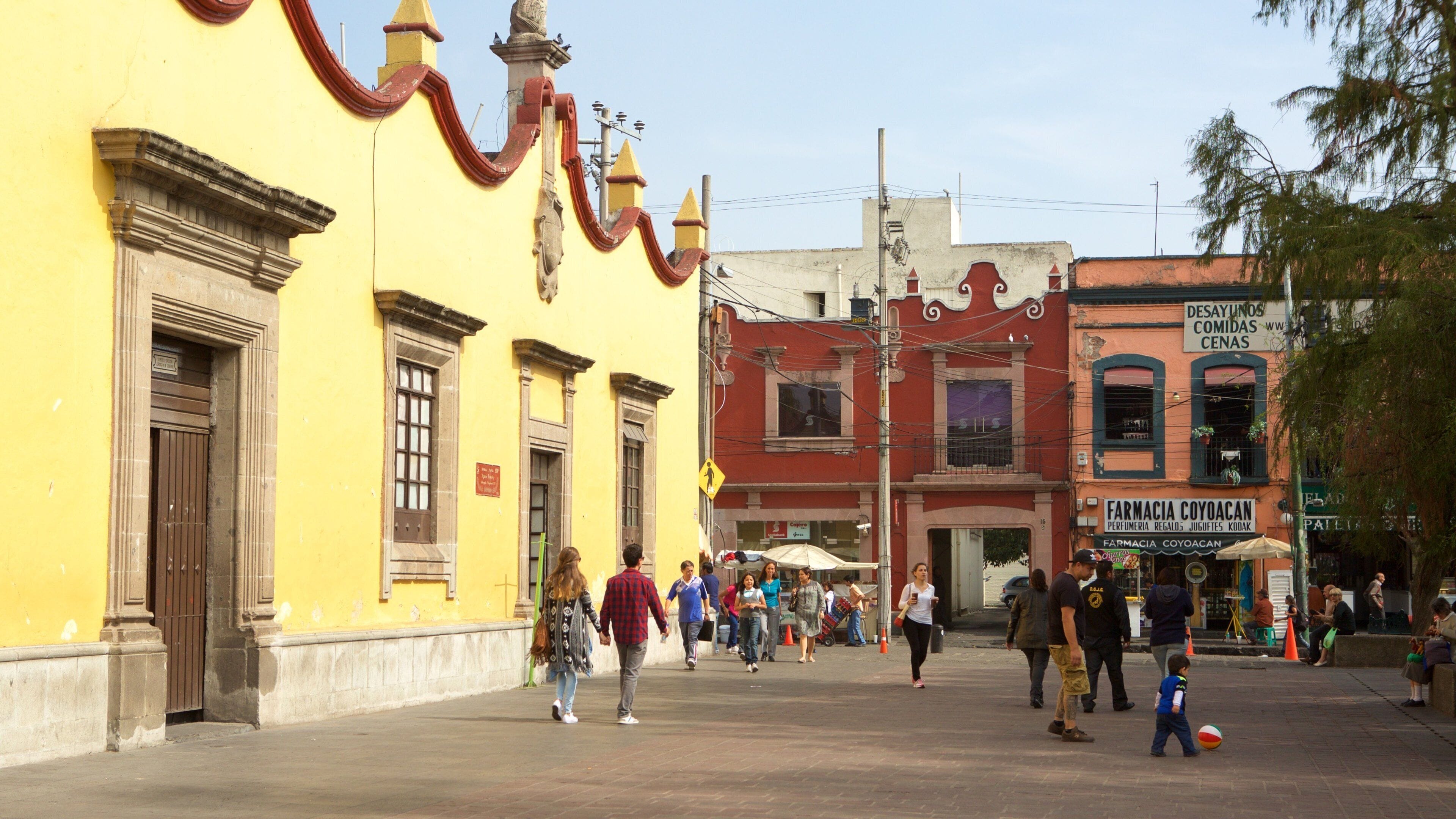 Coyoacan showing street scenes as well as a small group of people