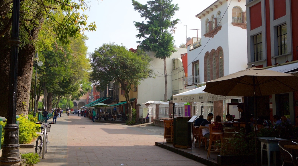 Coyoacan which includes a city and café lifestyle