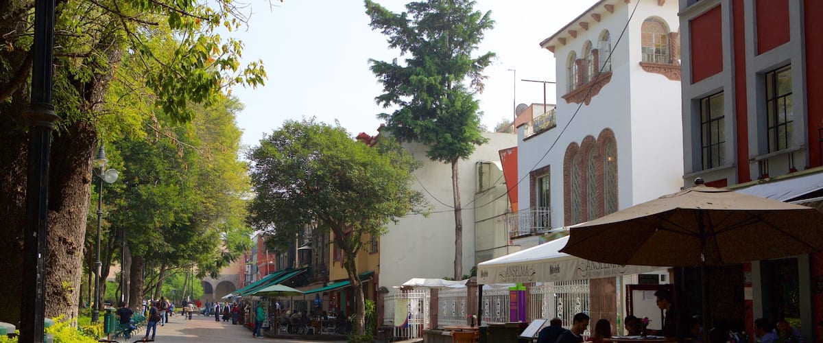 Coyoacán ofreciendo escenas de café y una ciudad