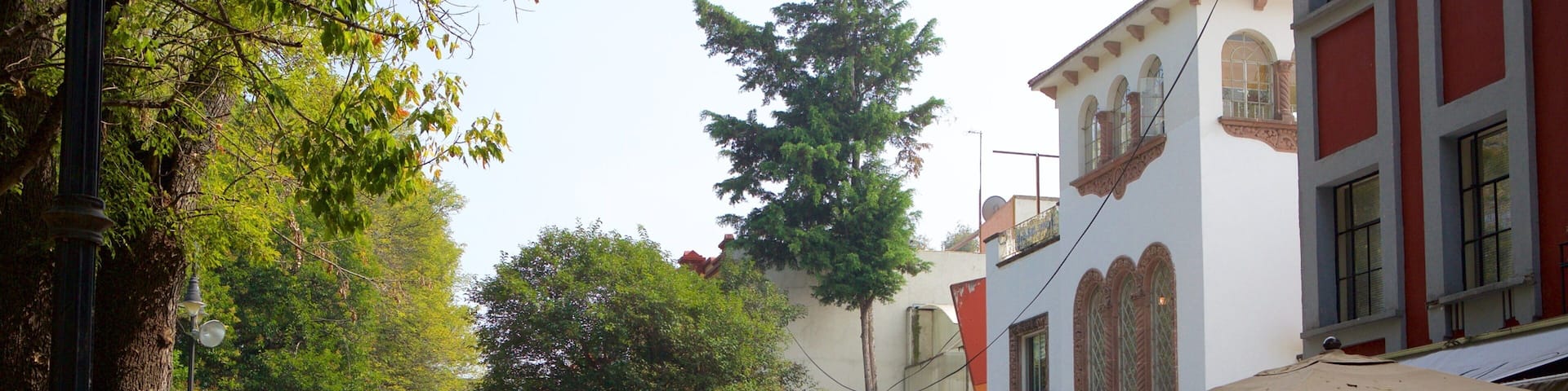 Coyoacan which includes cafe scenes and a city