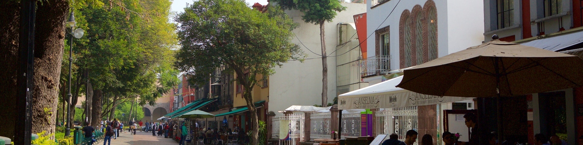 Coyoacan which includes cafe scenes and a city