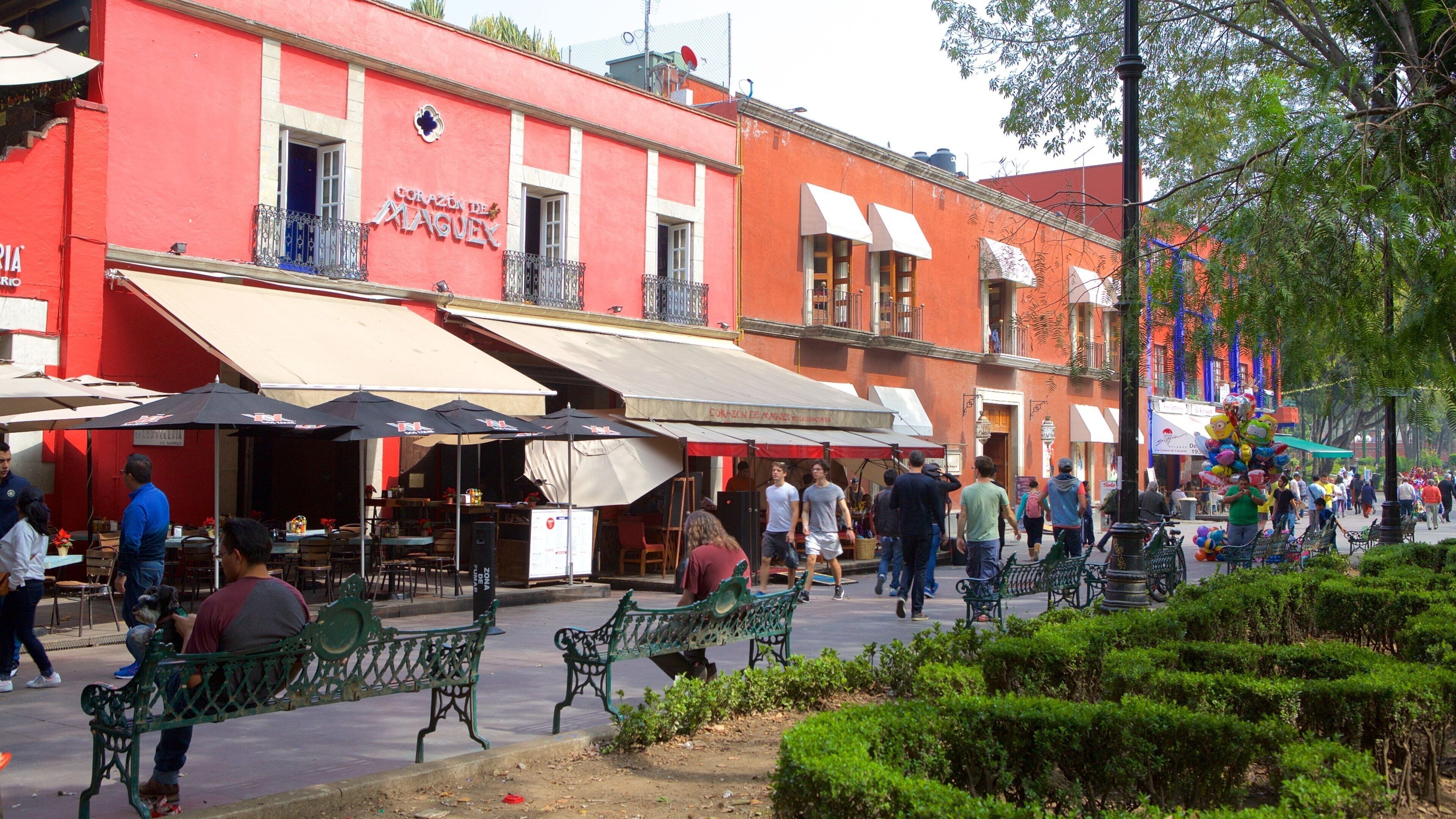 Coyoacan which includes a park and a city
