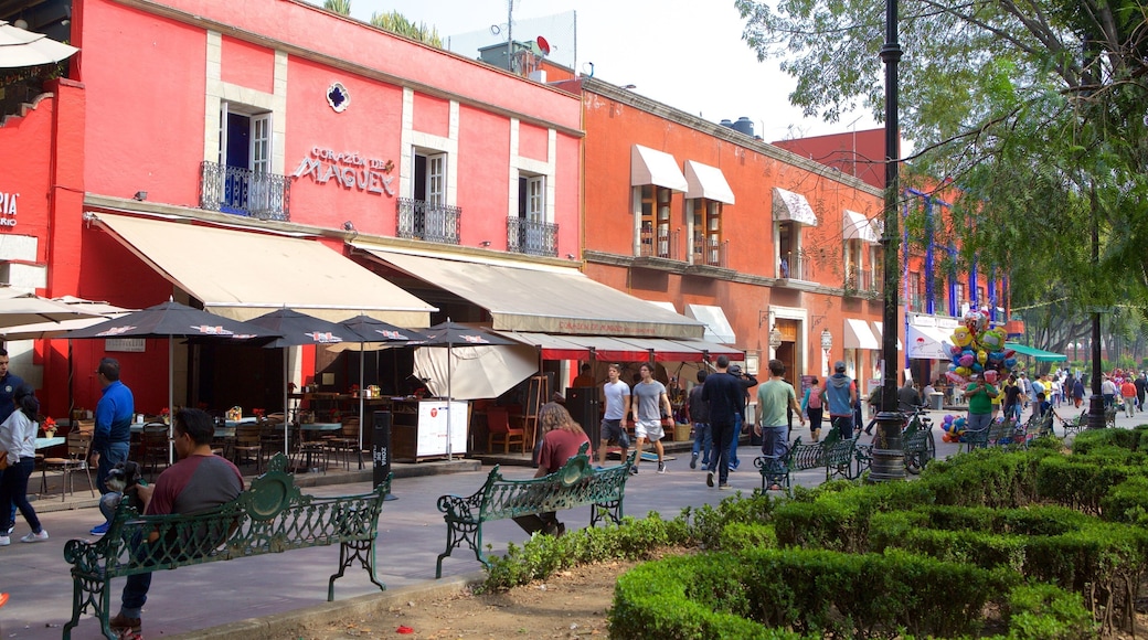 Coyoacan which includes a park and a city