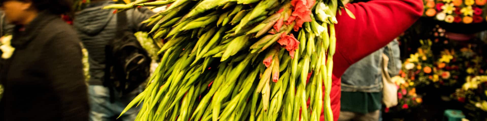 A person holding a large bunch of green asparagus in a market with flowers in the background.