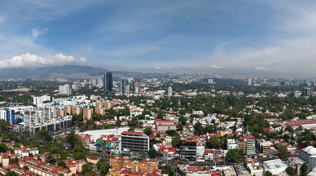 Panoramic shot of Mexico City's Alvaro Obregon zone