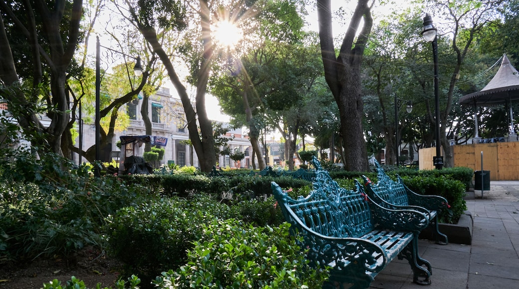 Atardecer en el Zócalo de Tlalpan