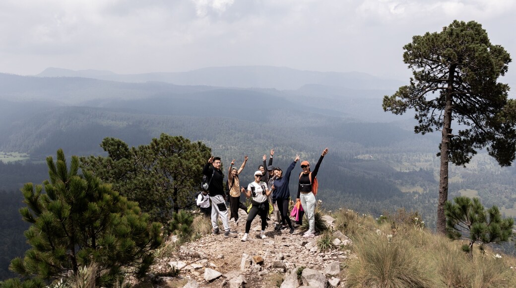 Group of hikers celebrating at summit in Cumbres del Ajusco