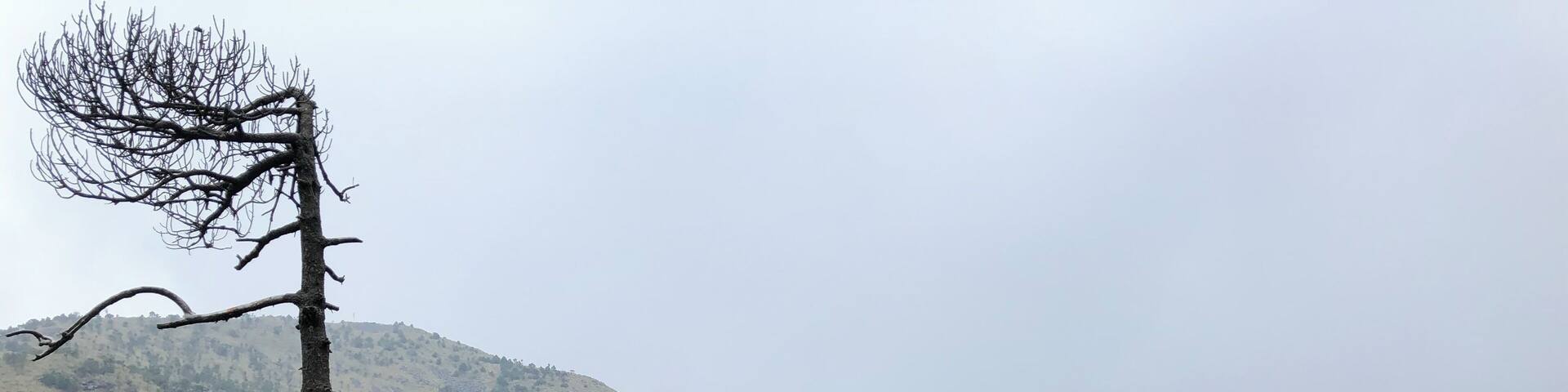 1.5 Hour-Hike to the top - There are two ways. Best use Maps.me for orientation. Great nature close to Mexico City - The hiking trail starts by crossing a plank bridge. The „left“ way up is more step but shorter. Best is doing the round.