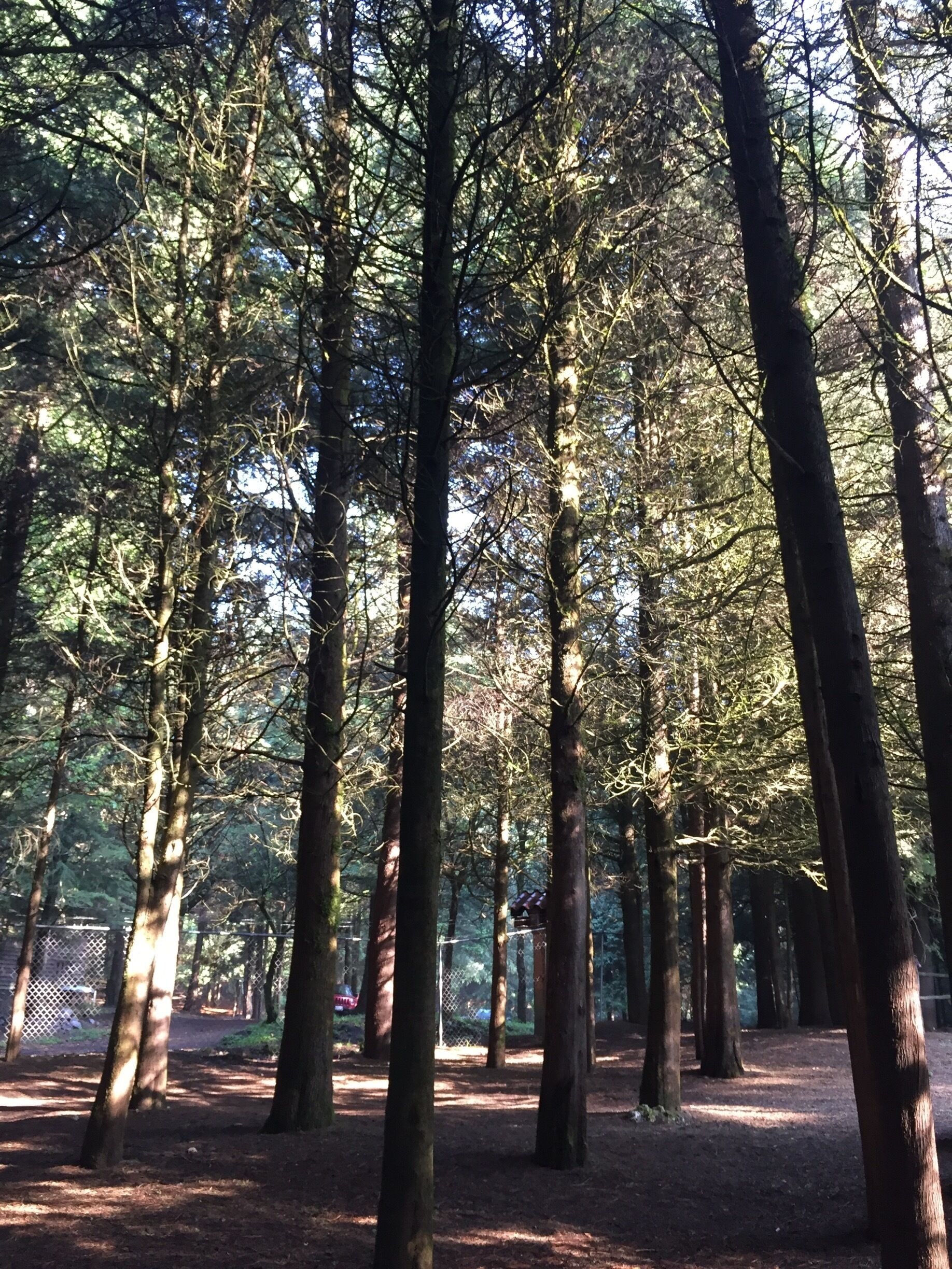 Primera vez acampando(: