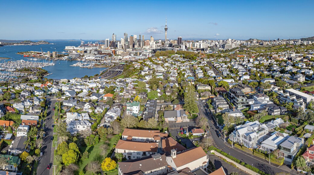 Grey Lynn
