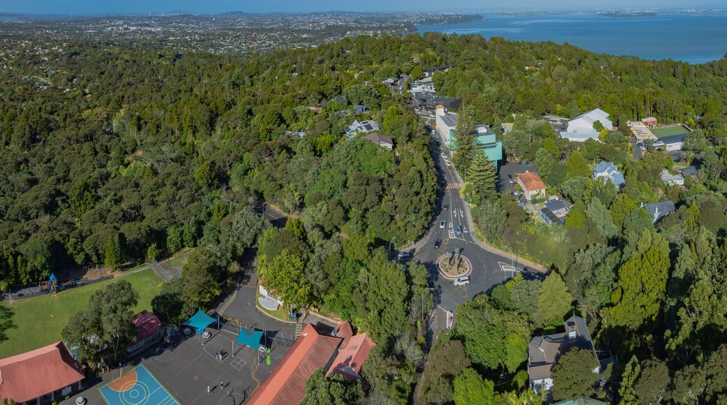 Aerial view of Titirangi, Auckland, New Zealand, showing a road winding through lush green forest. Cars navigate a roundabout, connecting the city to the coast.