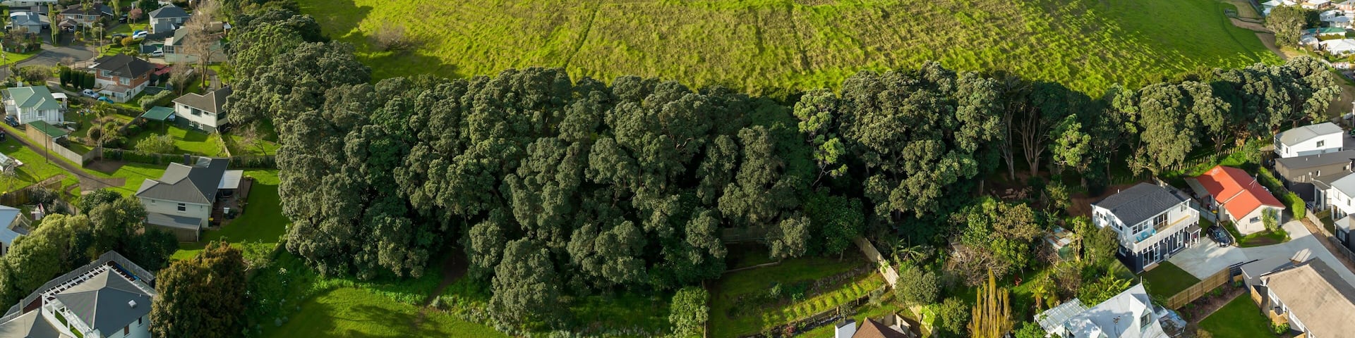 Mangere Mountain volcano in Auckland, Auckland, New Zealand.