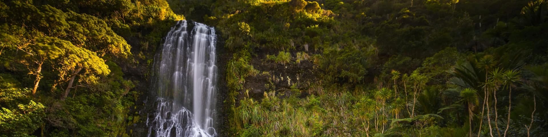 A waterfall cascading into a calm pool surrounded by lush greenery.