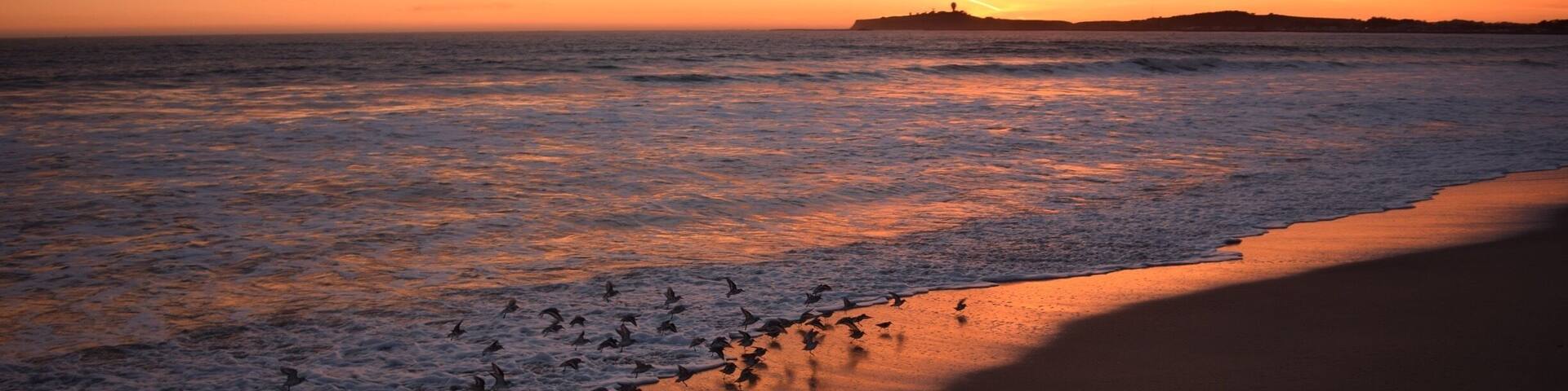 So I tend to see a lot of sunsets as you might find out... my favorite part is seeing how the textures and colors evolve and shift in the sky as the light perspective changes. I loved watching the Sand Pipers dance with the waves as they came in. That's Half Moon Bay in the distance and the world famous surf spot, Mavericks, just to the left of the headland.