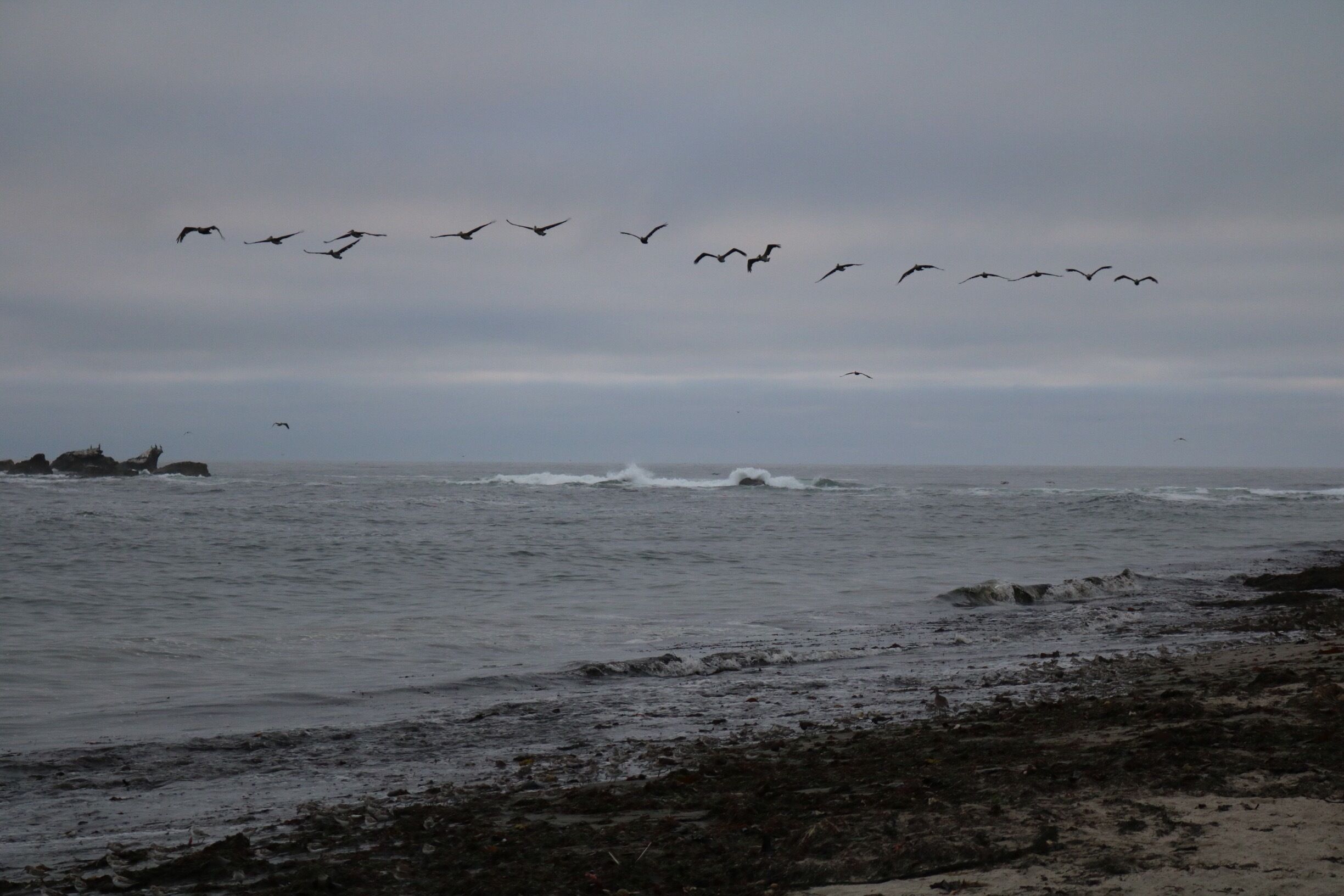 NO EDITING: cold and cloudy day at Mavericks. #JayMoriarty got famous here.... #California