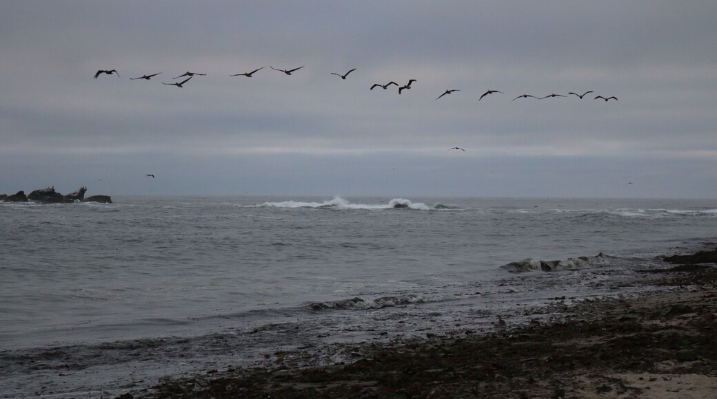 NO EDITING: cold and cloudy day at Mavericks. #JayMoriarty got famous here.... #California