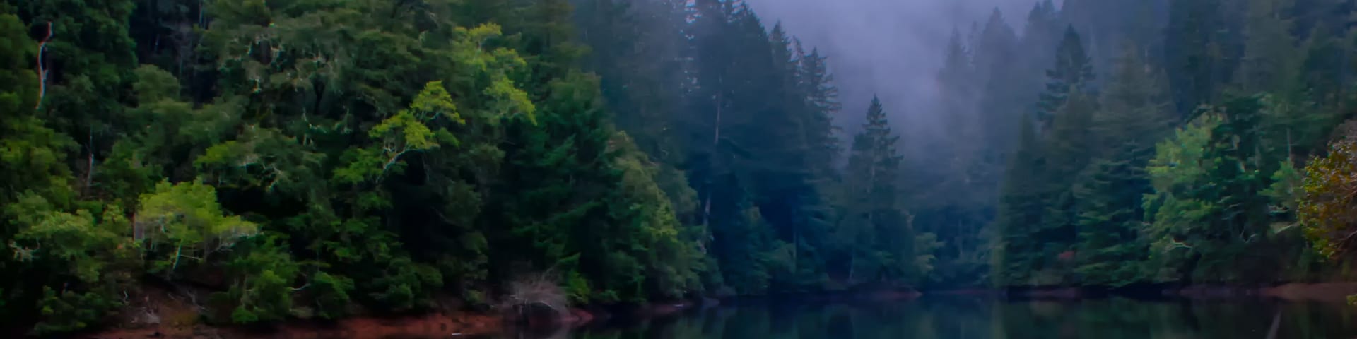 Alpine Lake, Marin County, California