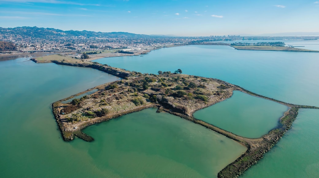 Aerial view of the Albany Waterfront Trail, Berkeley, California, USA. The image shows the marshland and Berkeley skyline in the background.
