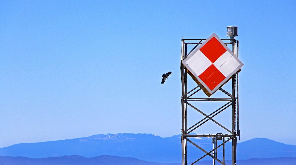 بوينت روبيرتس