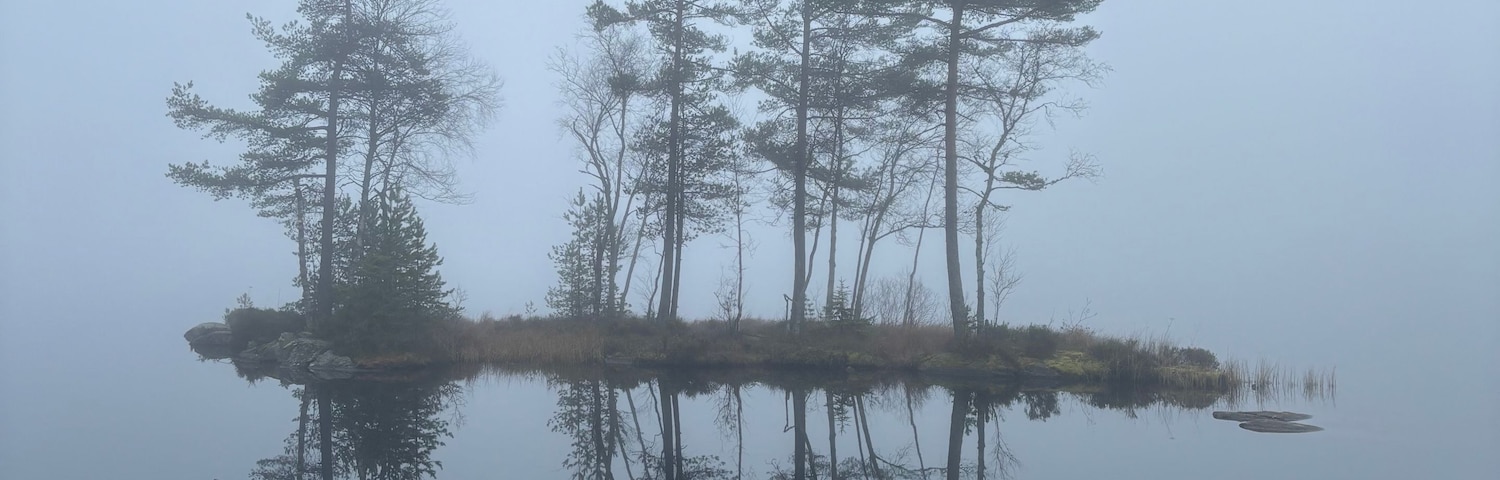 A calm lake with three trees reflected in the water.