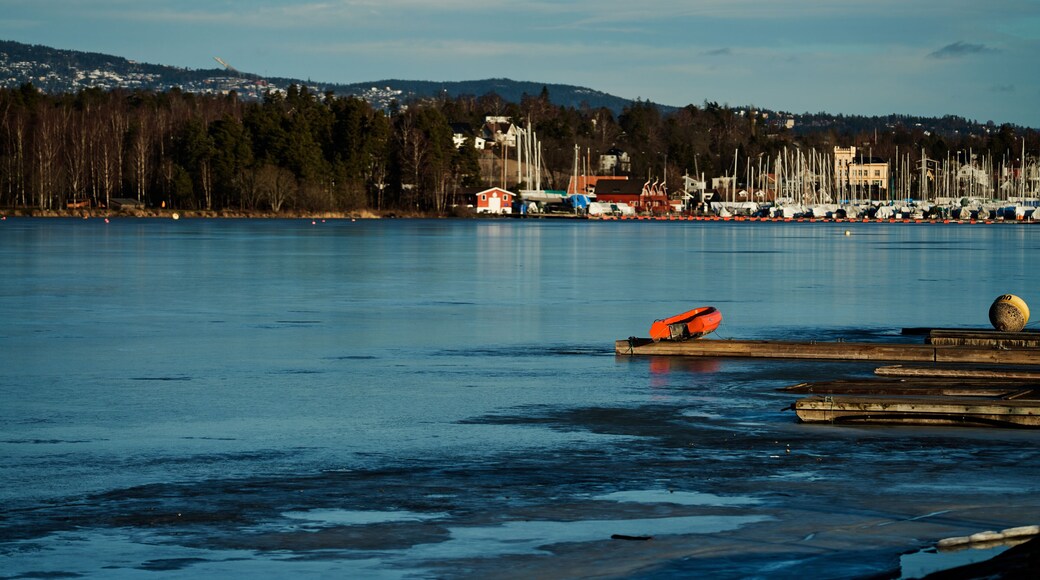 Outdoors at Kalvøya, Sandvika, Bærum, Norway. Ice cold winter day, but the sun is shining and is heating a little bit.
