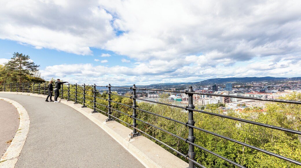 EyeEm Custom Shoots Q4 2018