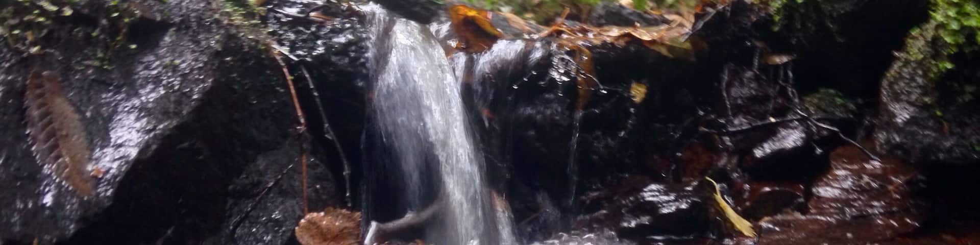 I'm quickly falling in love with Norway. Everyday I'm here I find something new that inspires me. Spent the day in the woodland outside of Oslo and was taken aback by its beauty.