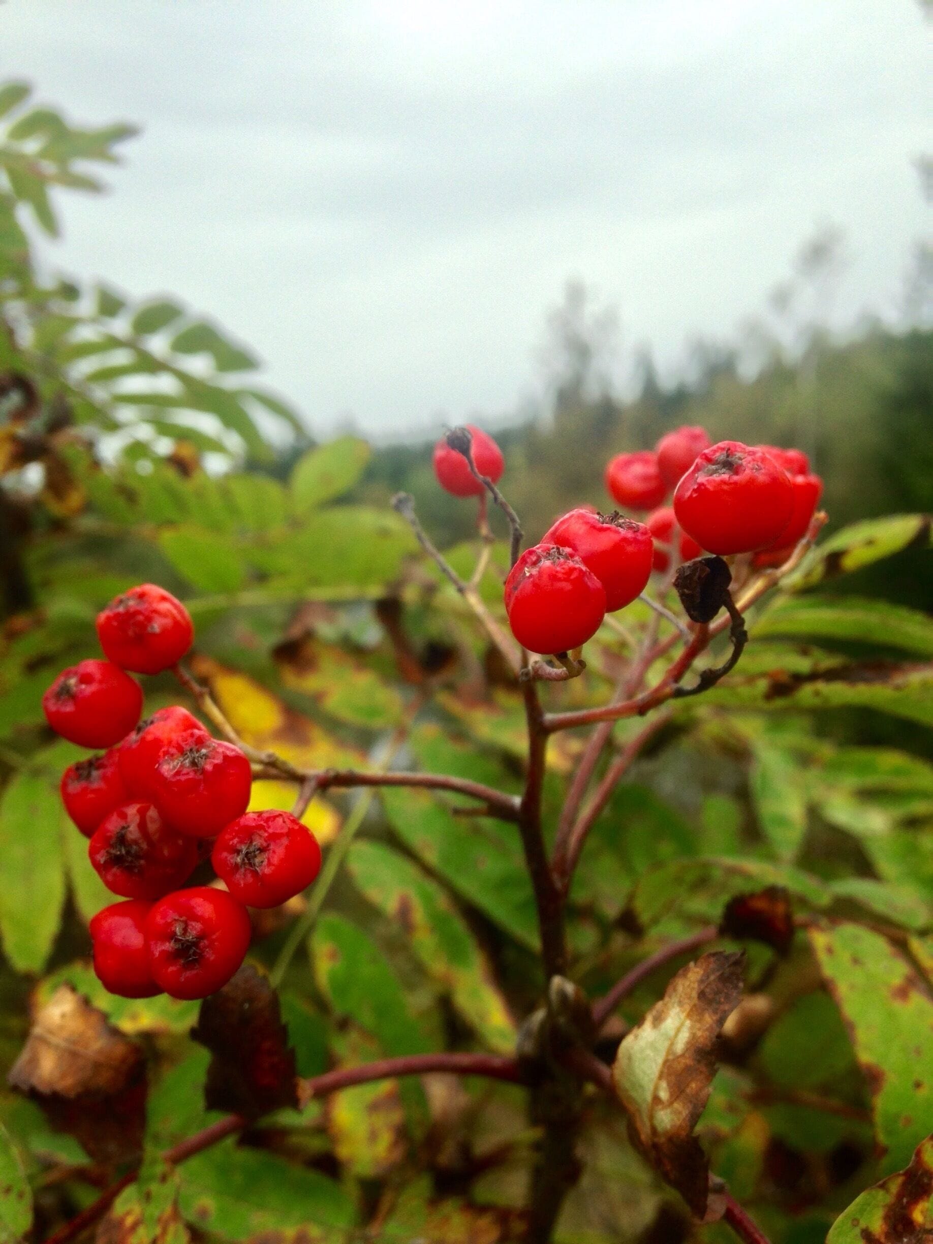 Couldn't help but upload this shot I took from today as well.