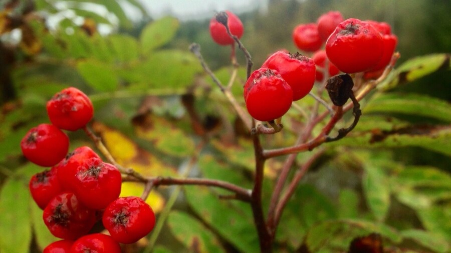 Couldn't help but upload this shot I took from today as well.