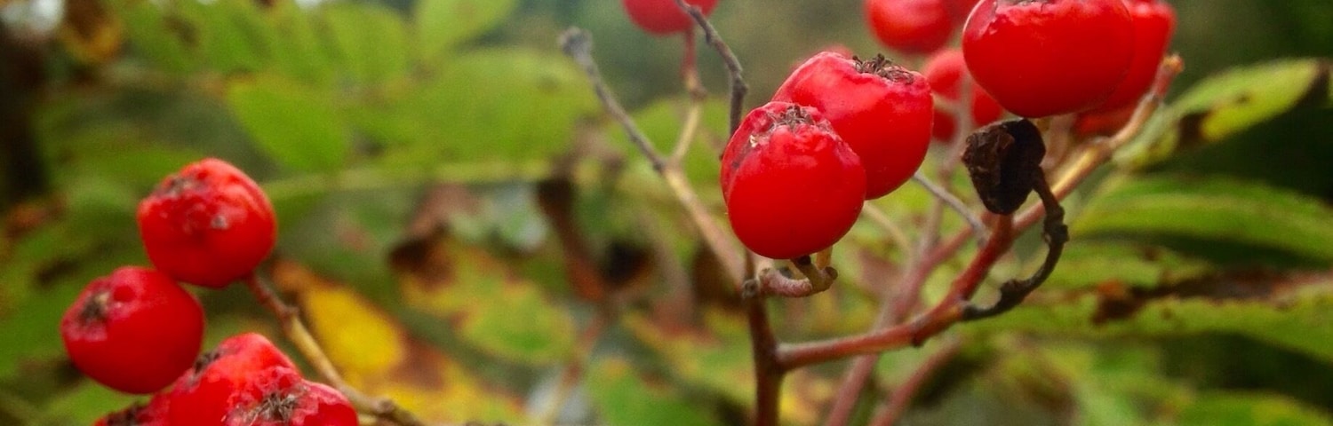 Couldn't help but upload this shot I took from today as well.