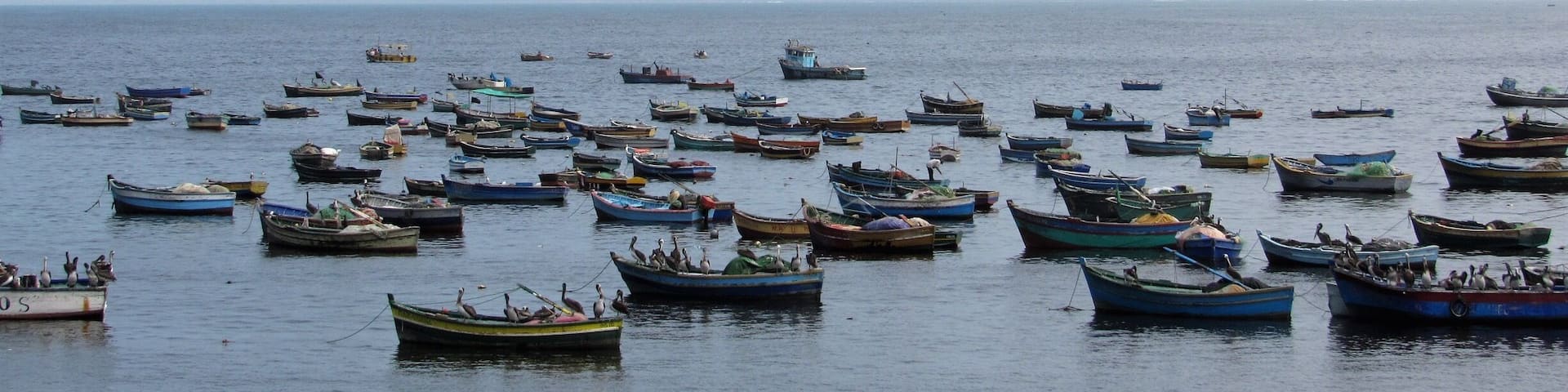 Boats are safe at the harbour but not meant for it