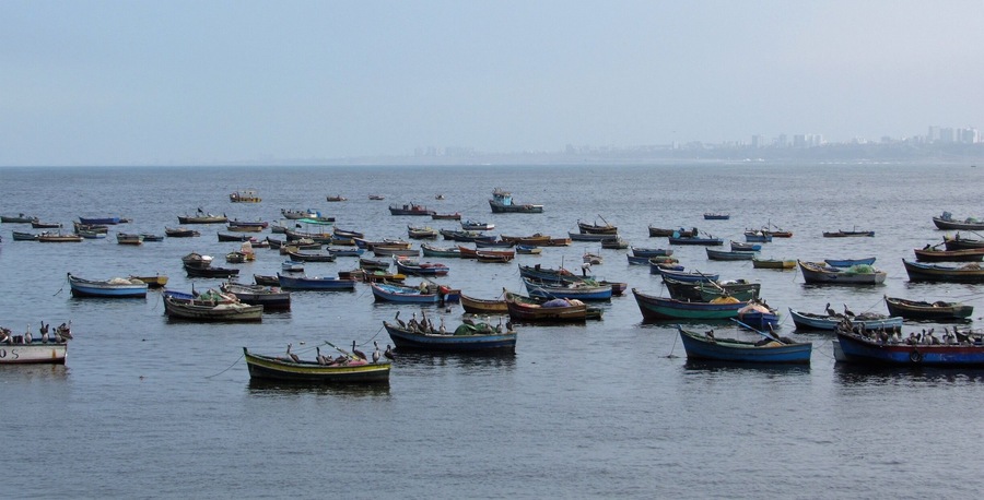 Boats are safe at the harbour but not meant for it